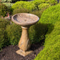 Astronomy BirdBath