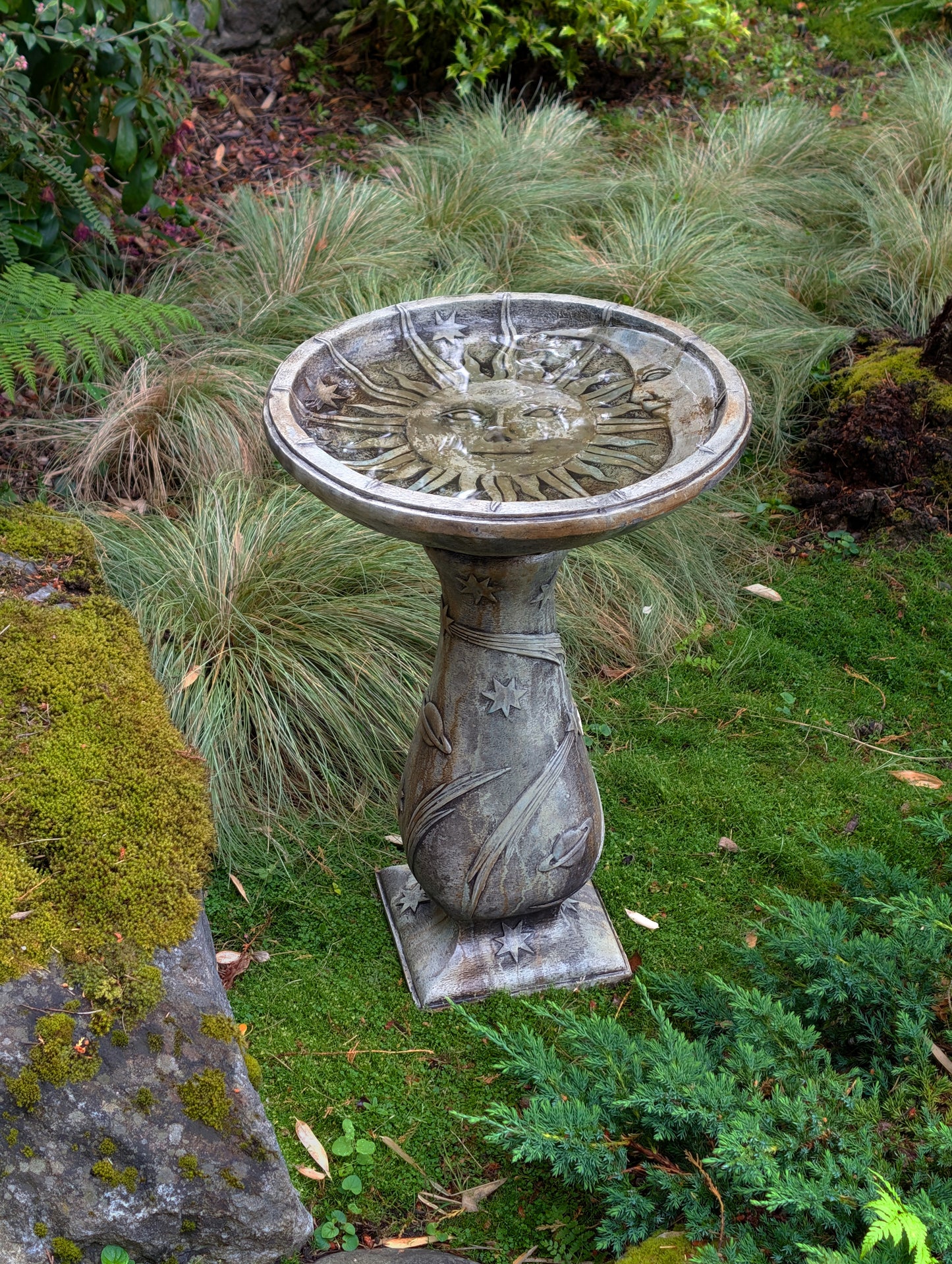 Astronomy BirdBath