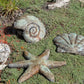 Starfish