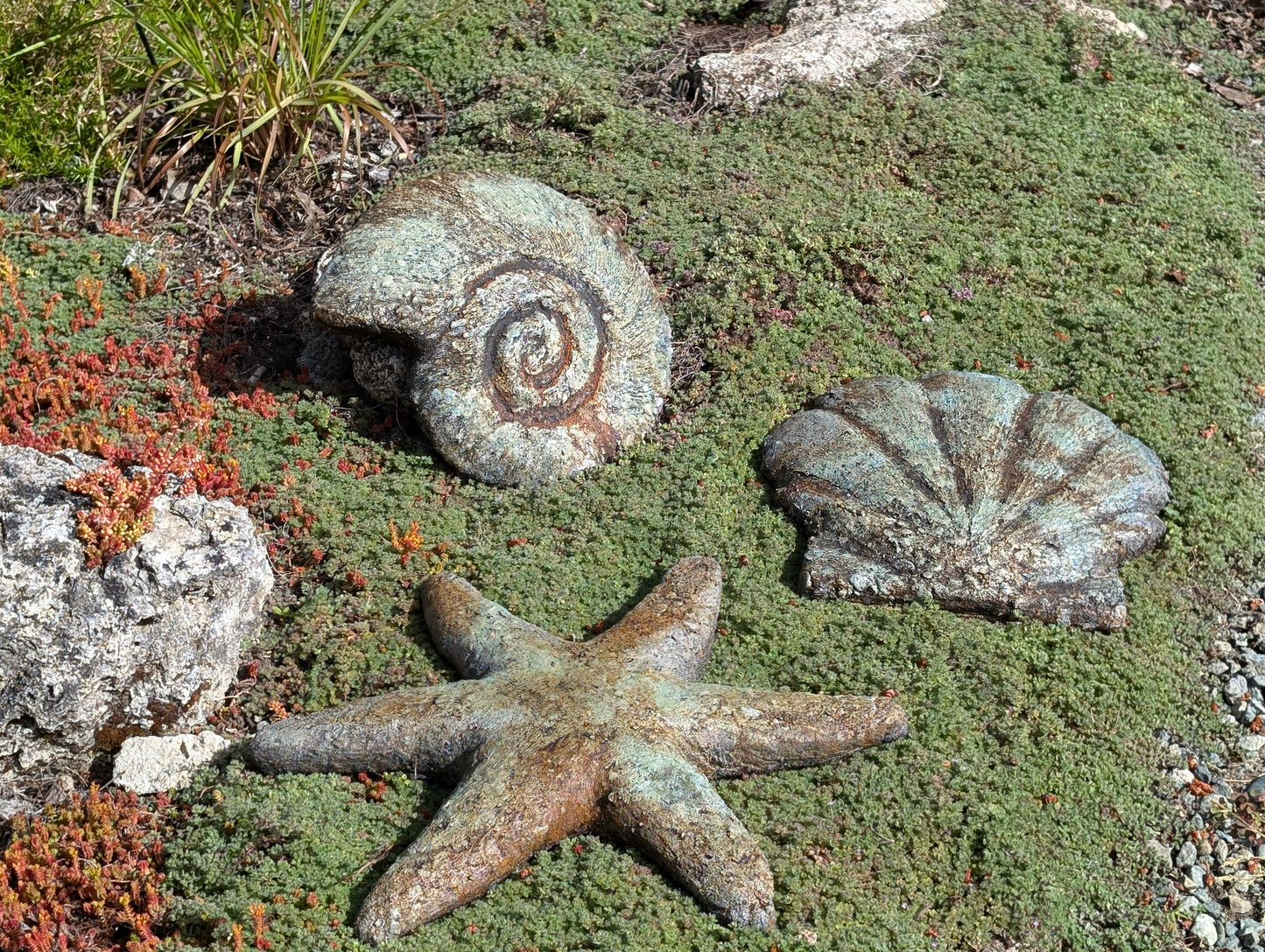 Starfish