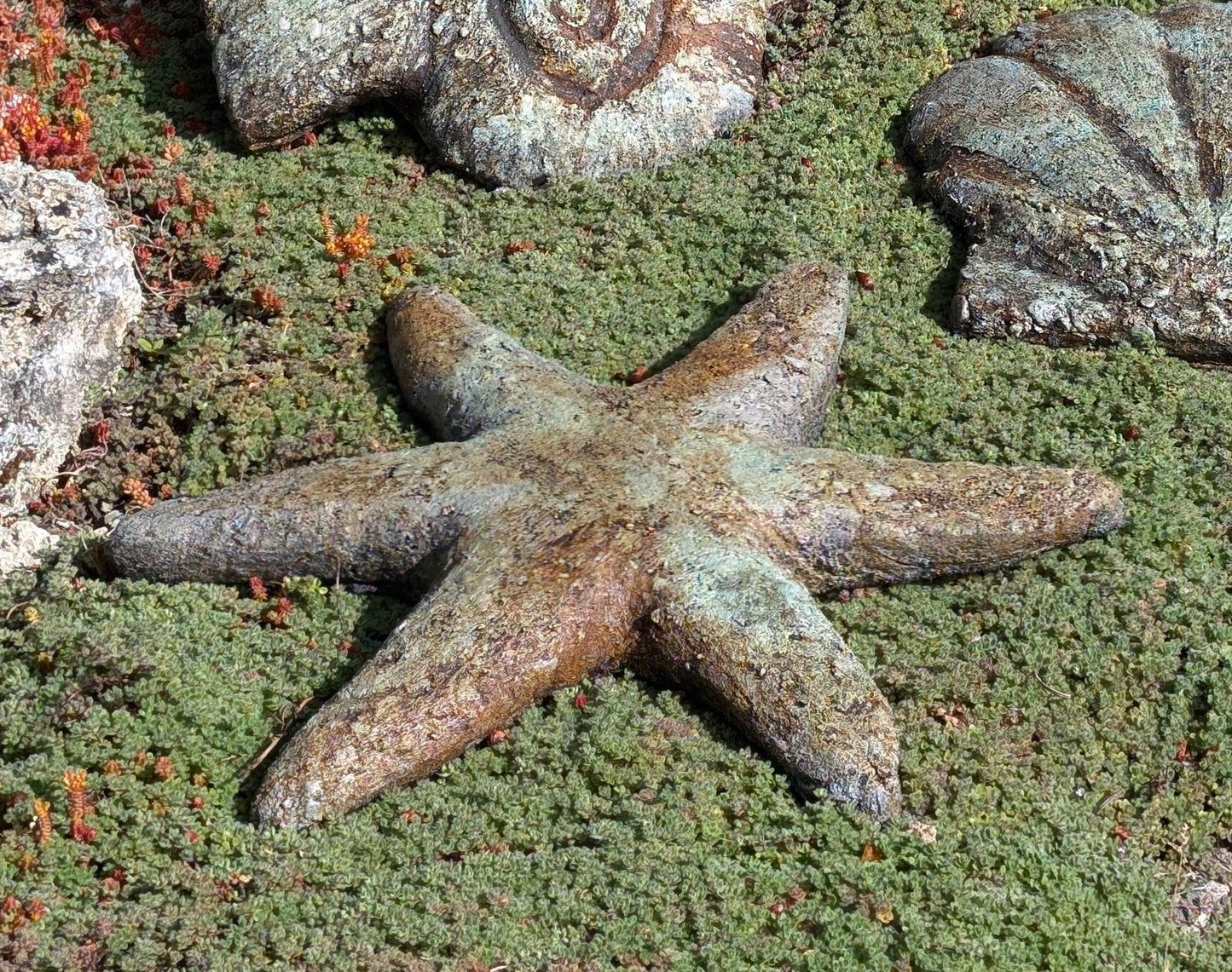 Starfish