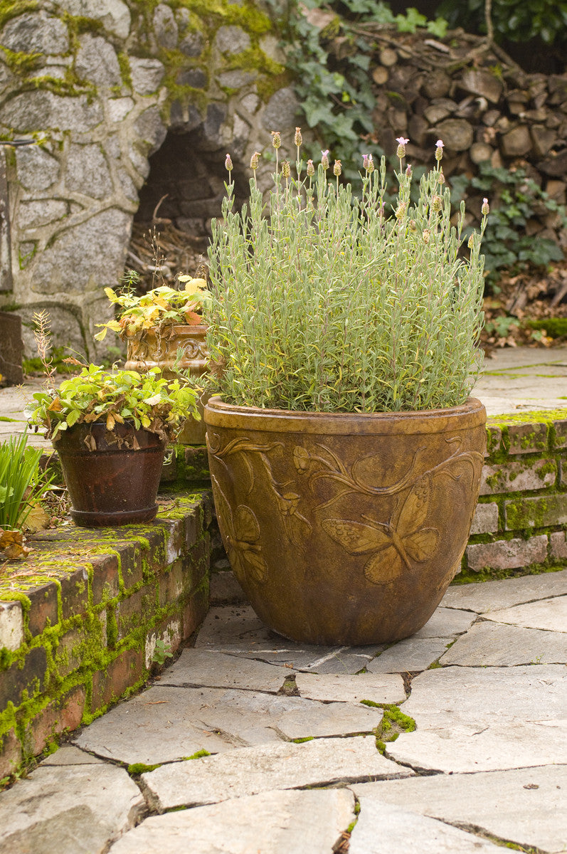 Butterfly Pot in Ancient Stone Finish