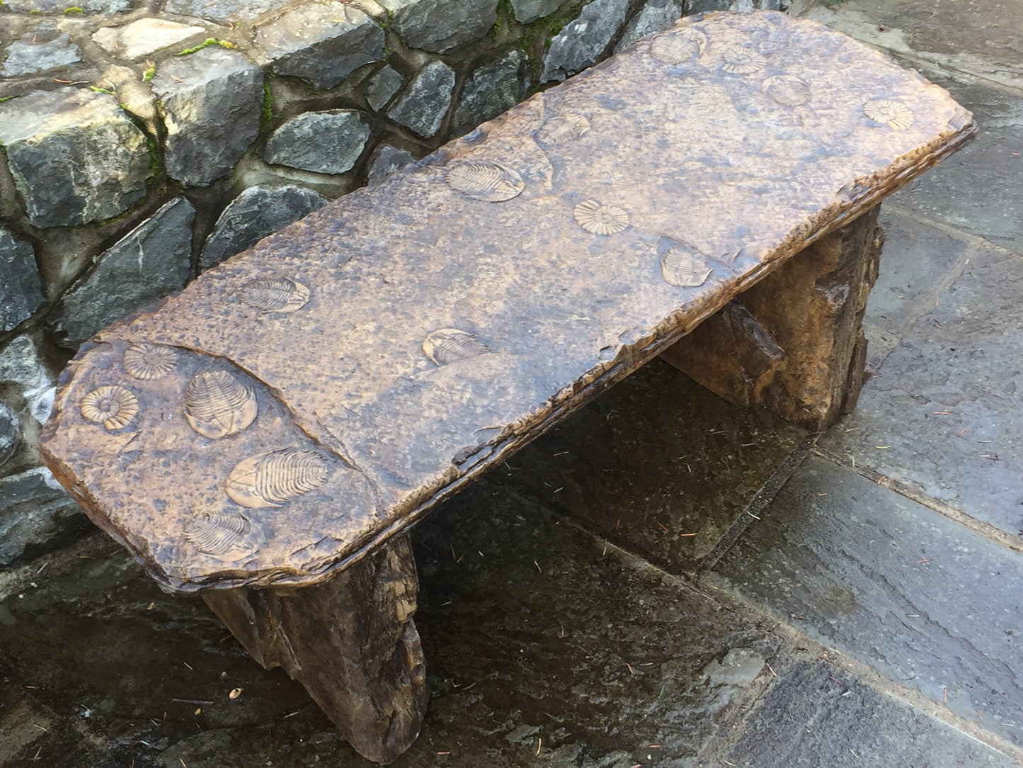 Fossil Bench - Straight in Ancient Stone