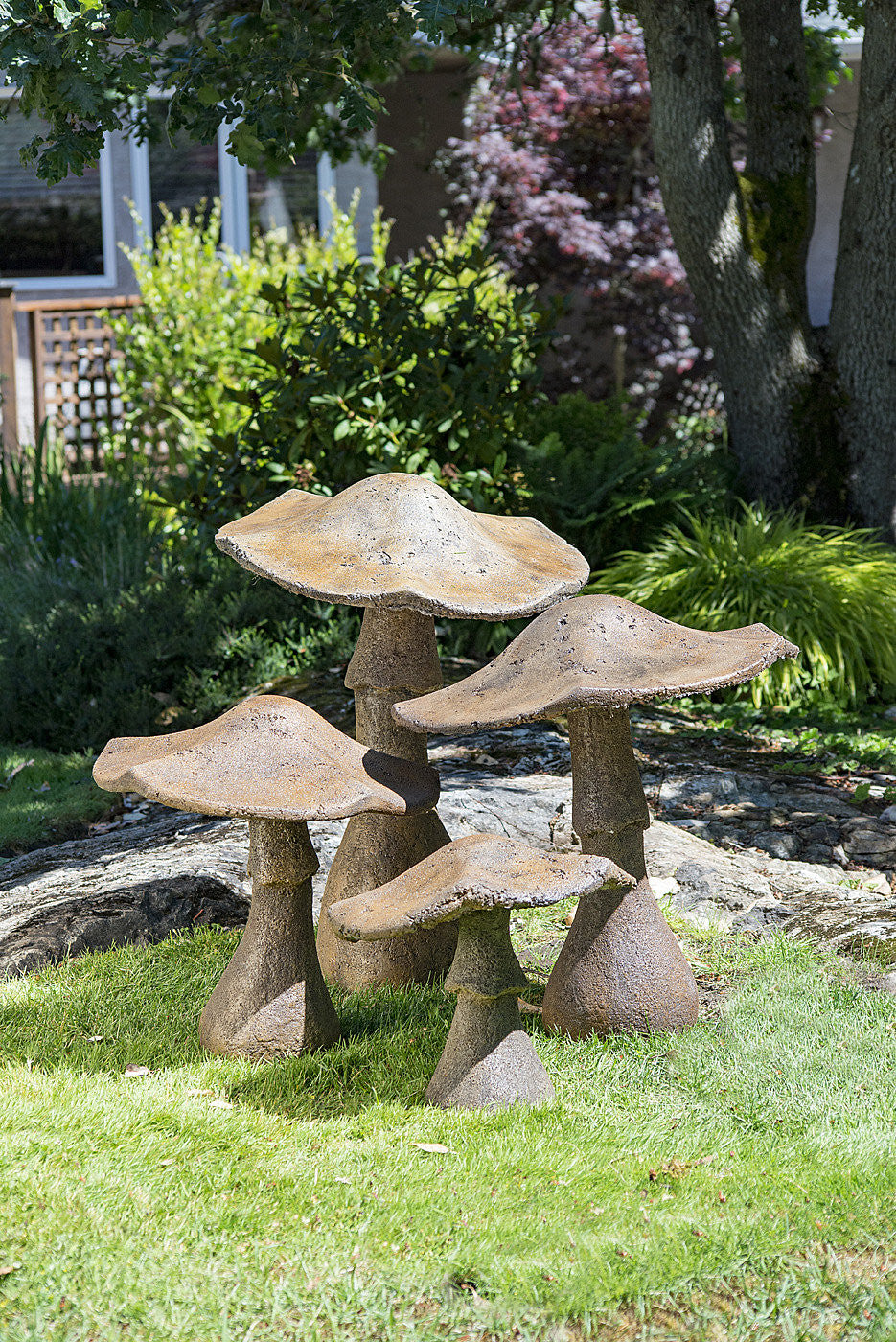 Four Garden Mushrooms in Ancient Stone