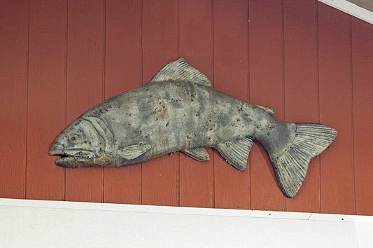 Hanging Trophy Fish in Western Slate