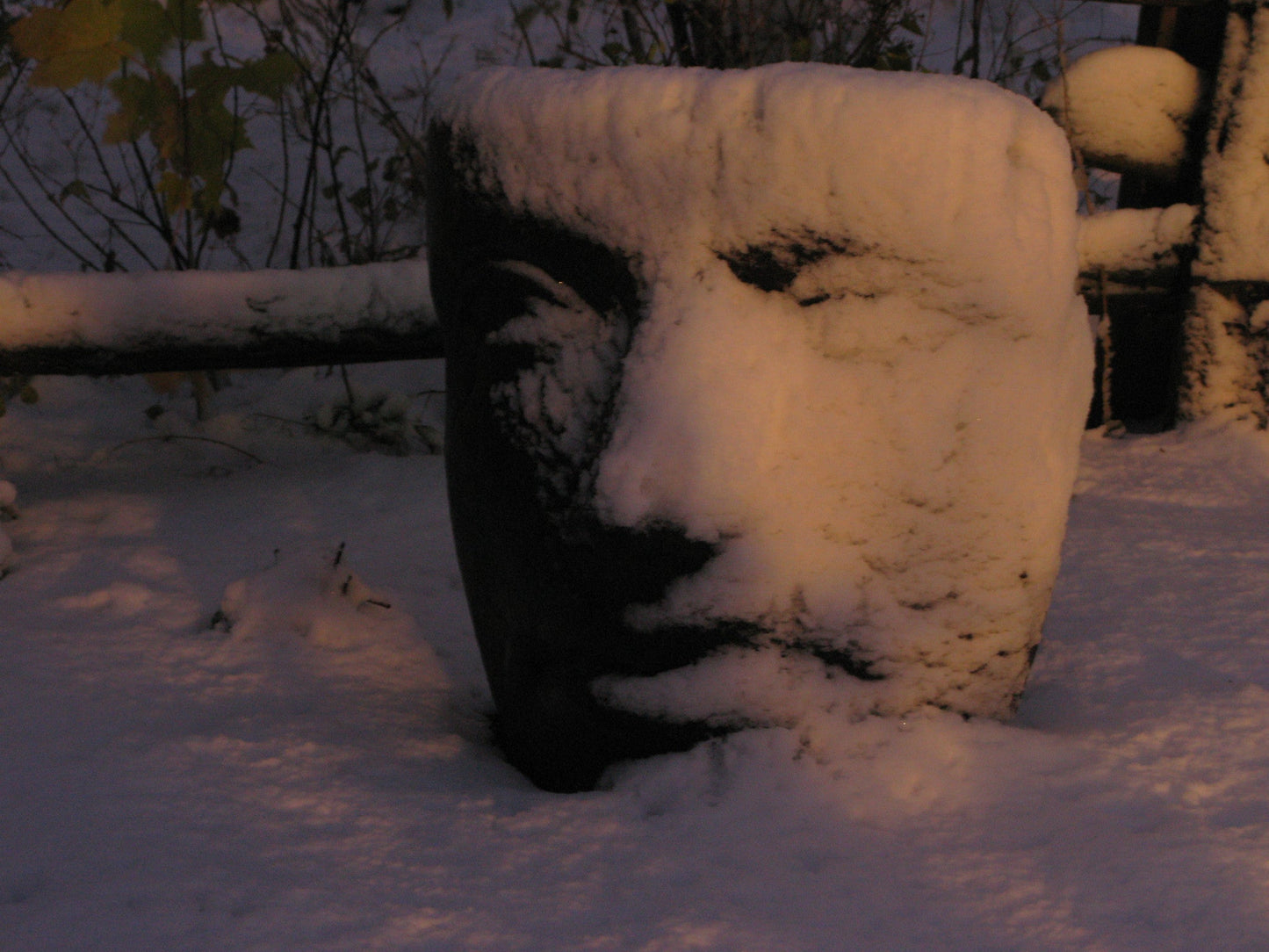 Portrait of Mother Nature in the Snow