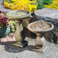 Frog Birdbath - Tall